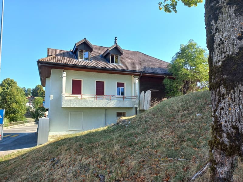 A vendre:  Maison avec magasin et deux appartements (3)