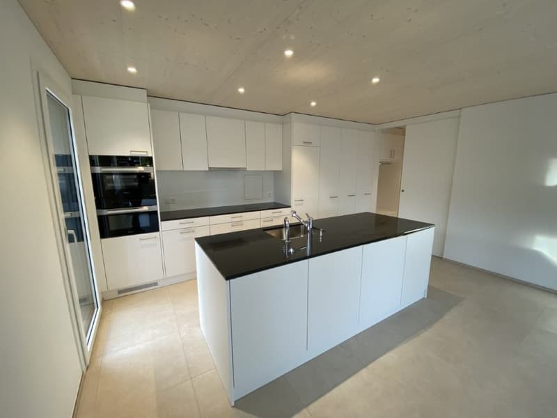 Reserviert Neu Erstbezug 5.5 Einfamilenhaus mit Garten rund ums Haus (8)