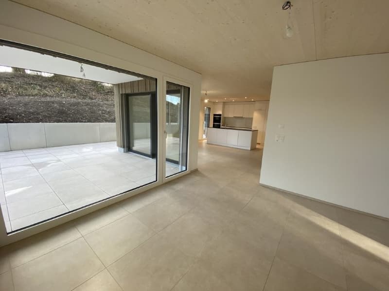 Reserviert Neu Erstbezug 5.5 Einfamilenhaus mit Garten rund ums Haus (7)