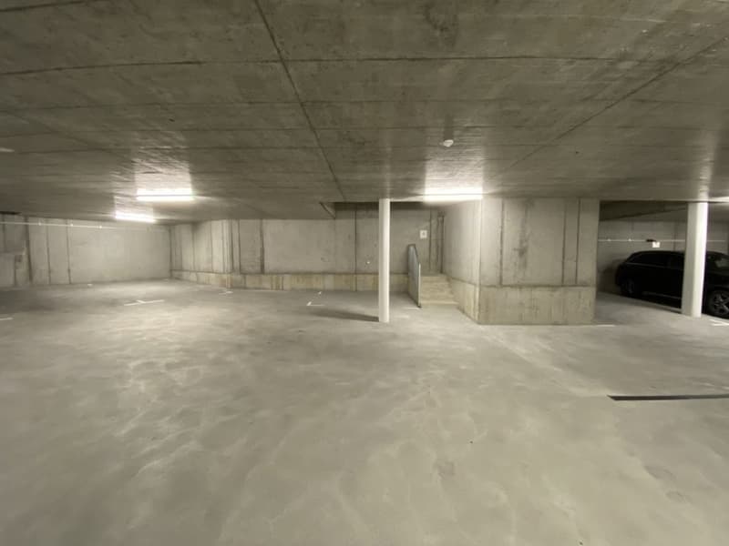 Reserviert Neu Erstbezug 5.5 Einfamilenhaus mit Garten rund ums Haus (15)