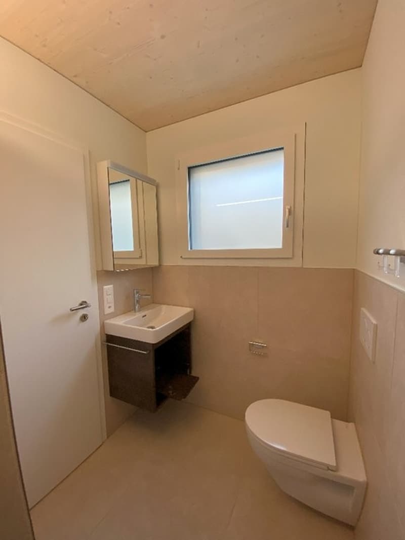 Reserviert Neu Erstbezug 5.5 Einfamilenhaus mit Garten rund ums Haus (10)