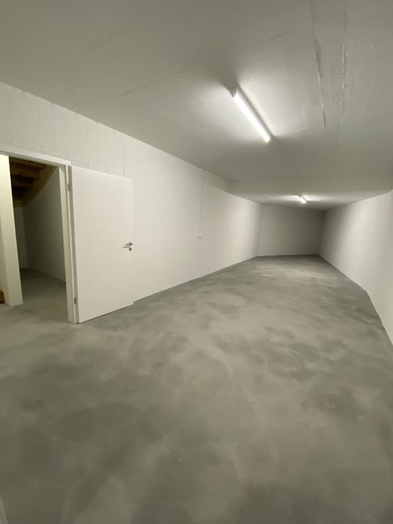 Reserviert Neu Erstbezug 5.5 Einfamilenhaus mit Garten rund ums Haus (14)
