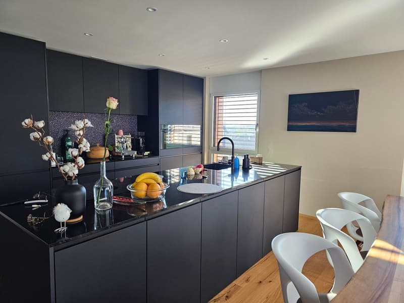4.5 Attic Apartment with Dream View (1)