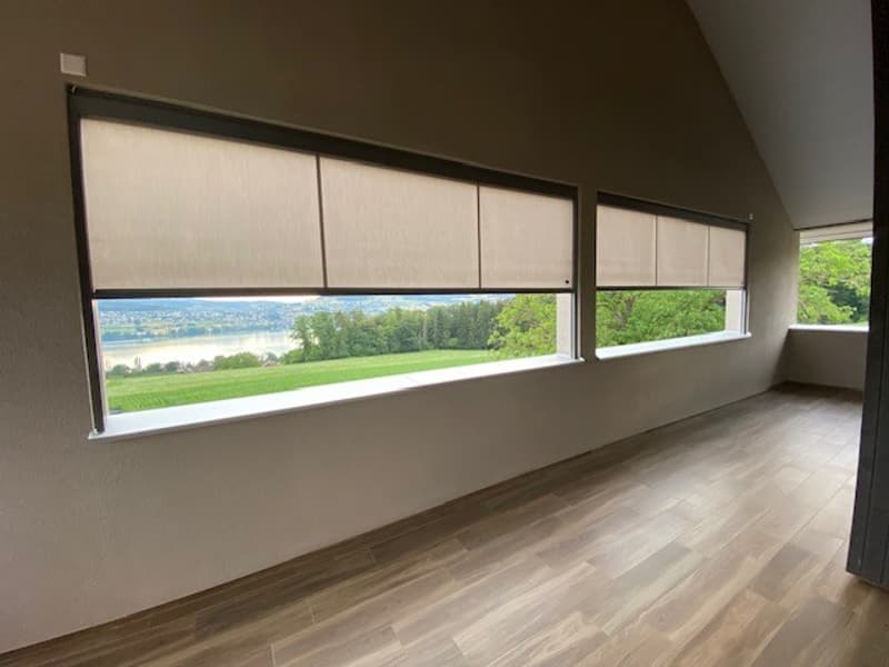 Appartement 3.5 pièces avec vue imprenable, atelier en option (8)