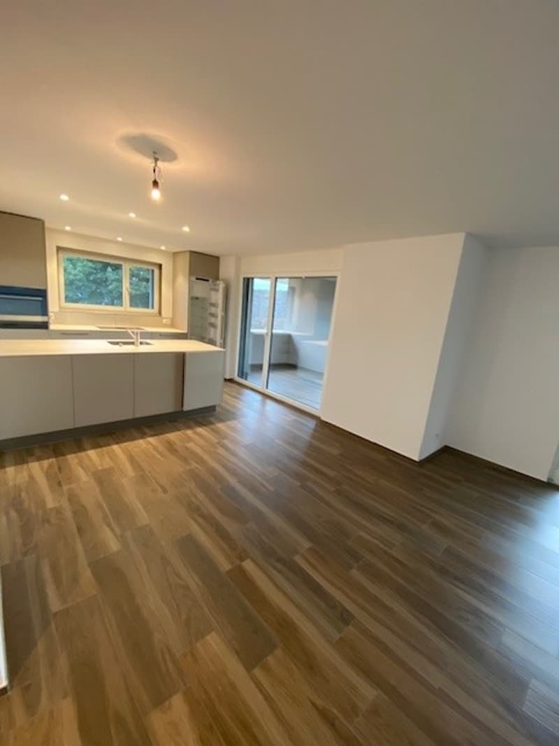 Appartement 3.5 pièces avec vue imprenable, atelier en option (1)
