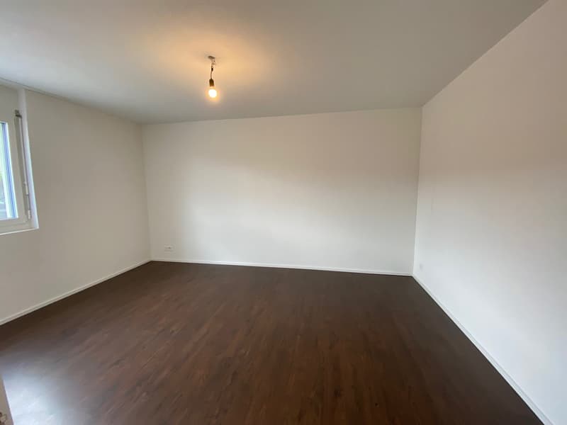 Newly available 4.5 room garden apartment on the ground floor with garden seating and lawn (8)