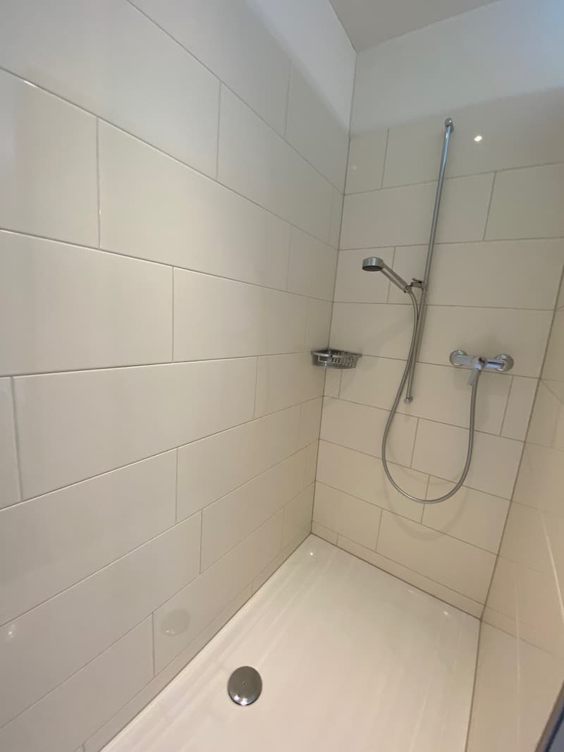 Newly available 4.5 room garden apartment on the ground floor with garden seating and lawn (12)