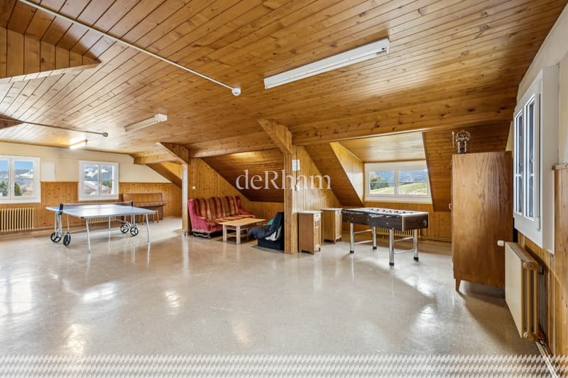 Il Castello a Leysin (9)