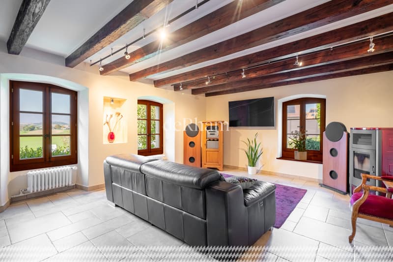 Magnifique triplex avec jardin (4)