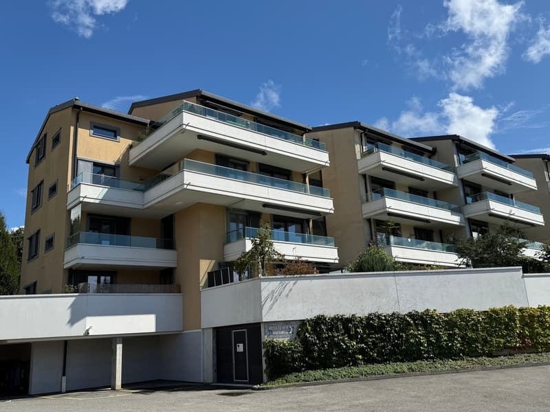 Appartamento contemporaneo di 3,5 locali (2)