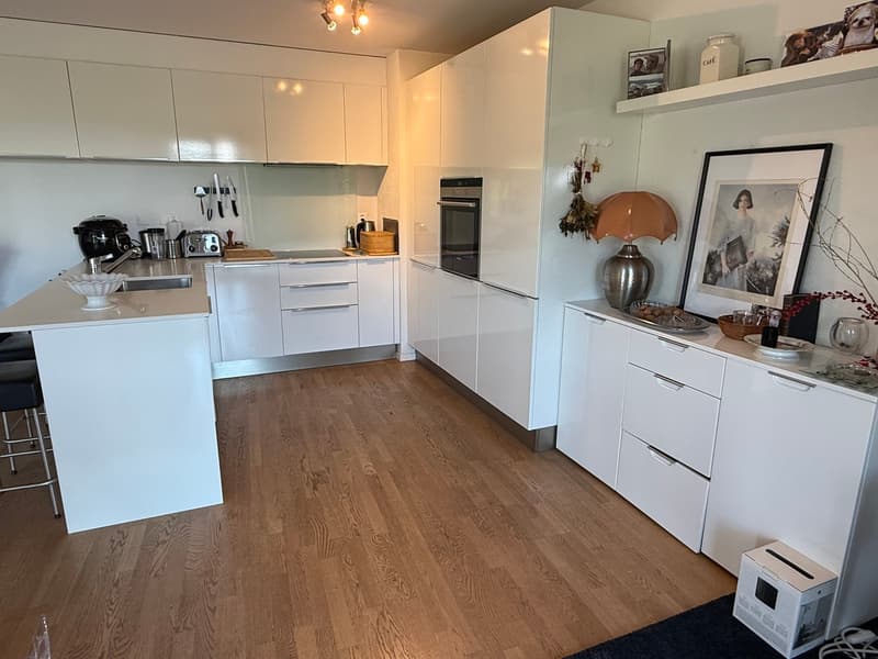 Appartamento contemporaneo di 3,5 locali (4)