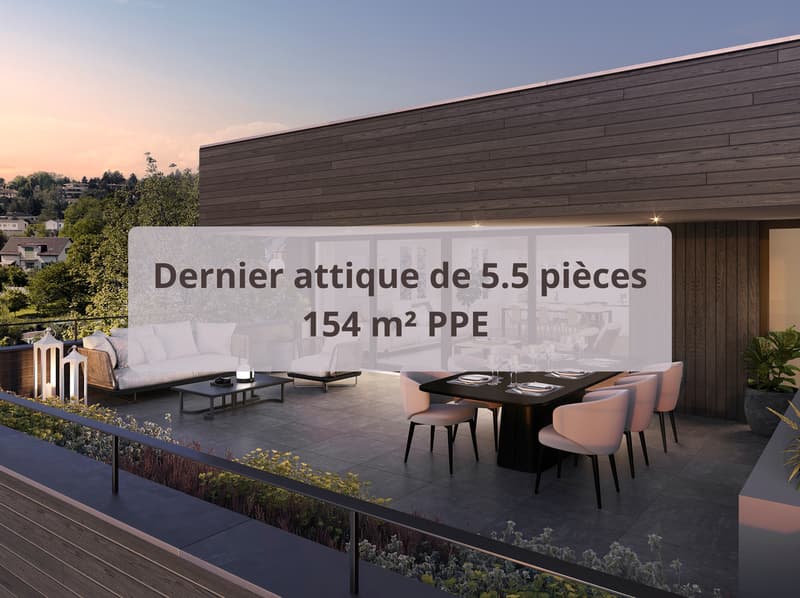 Magnifique duplex en attique (1)