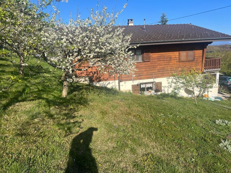 House with panoramic view Great potential for expansion (3)
