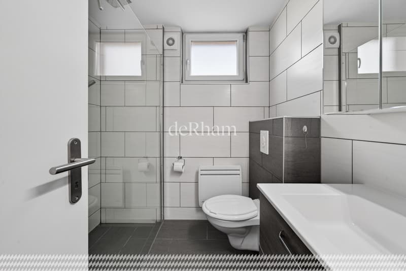 Villa of 2 apartments With great potential, beautiful garden (6)