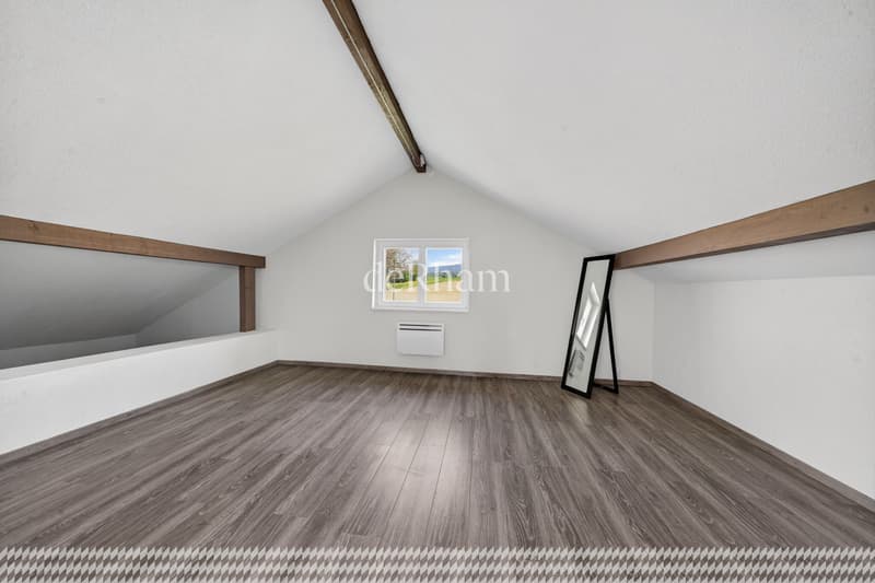 Villa of 2 apartments With great potential, beautiful garden (13)