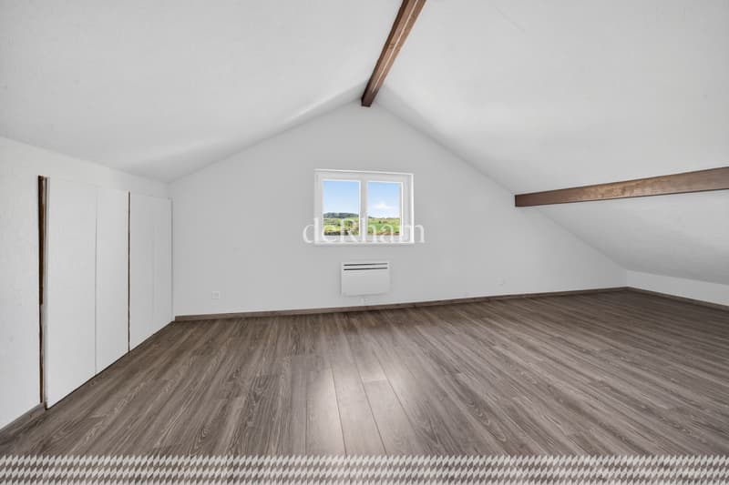 Villa of 2 apartments With great potential, beautiful garden (12)