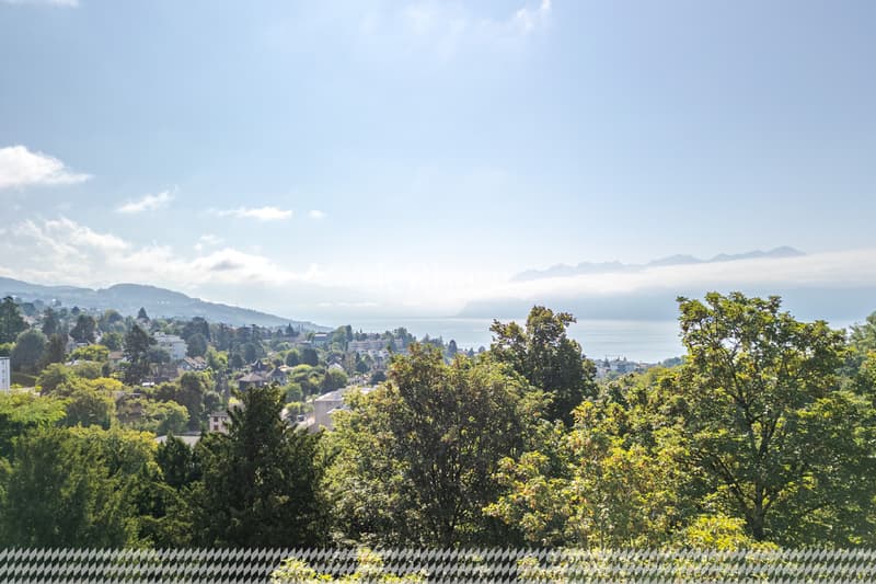 Wohnung mit 2.5 Zimmern mit Blick auf den See und die Alpen (1)