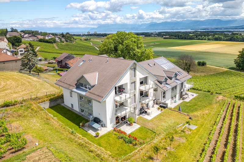 Spacious 4.5-room duplex In the heart of the vineyards, with a view of Lake and Alps (1)