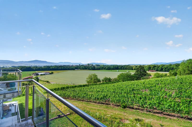 Spacious 4.5-room duplex In the heart of the vineyards, with a view of Lake and Alps (7)