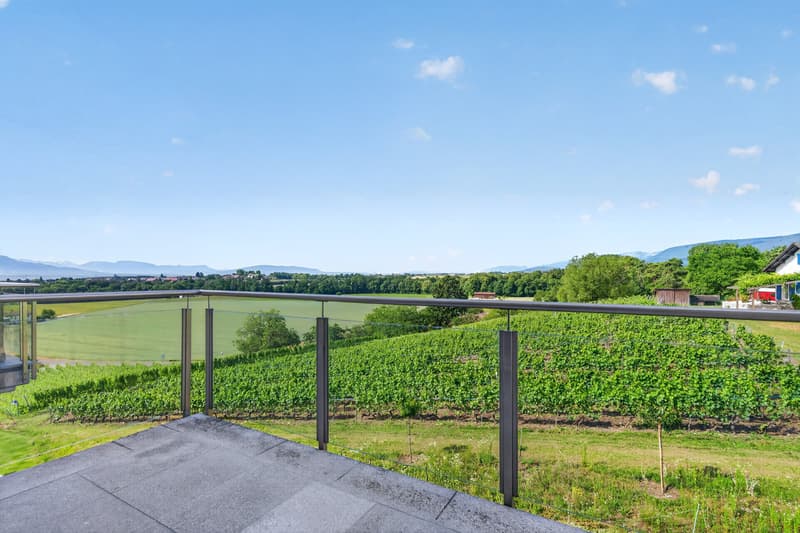 Spacious 4.5-room duplex In the heart of the vineyards, with a view of Lake and Alps (6)