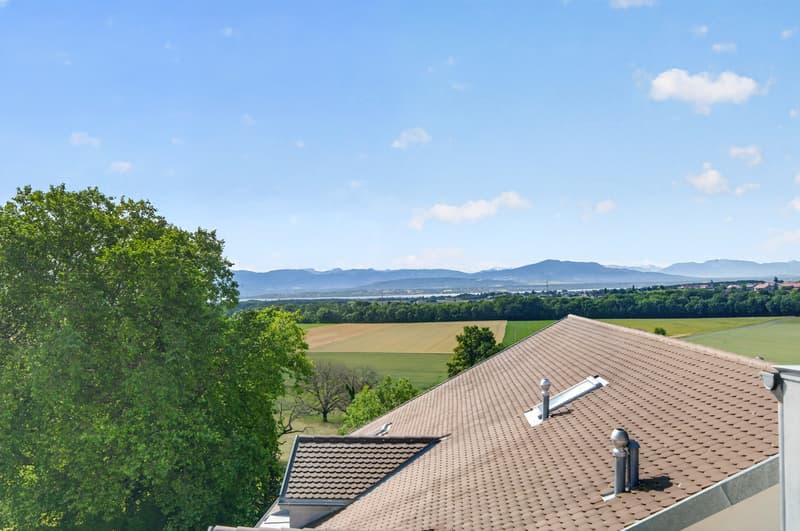Spacious 4.5-room duplex In the heart of the vineyards, with a view of Lake and Alps (12)