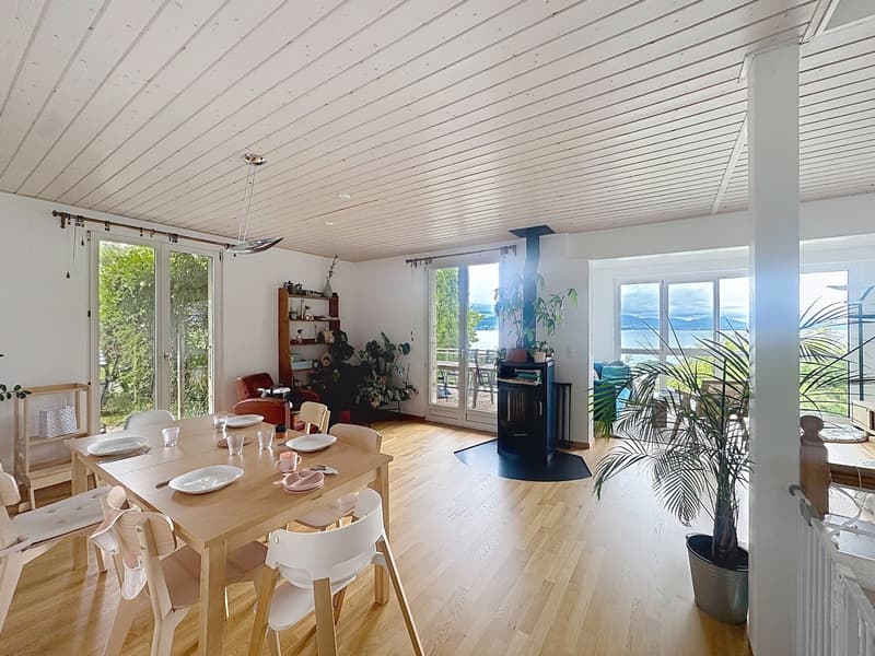Reihenhaus-Villa mit 6,5 Zimmern und eigenem Studio (3)