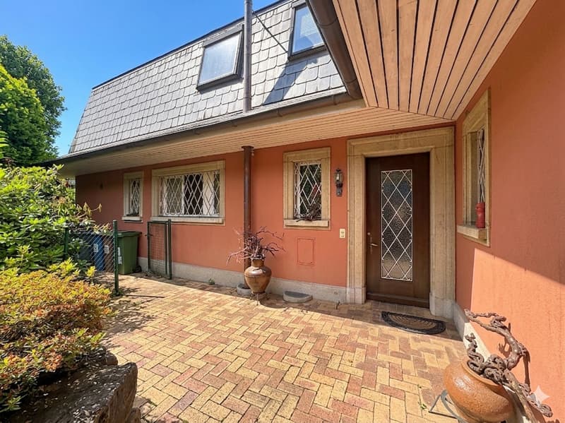 Reihenhaus-Villa mit 6,5 Zimmern und eigenem Studio (1)