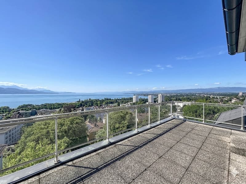 Reihenhaus-Villa mit 6,5 Zimmern und eigenem Studio (6)