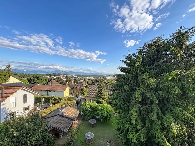 Duplex mit 5,5 Zimmern zur Renovierung (1)