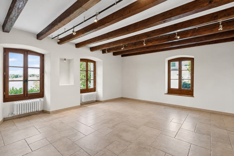 Magnifique maison villageoise au coeur de Mex avec jardin (7)