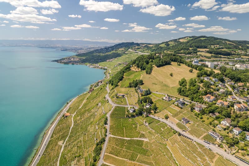 Appartement de 5.5 pièces Magnifique vue lac (12)