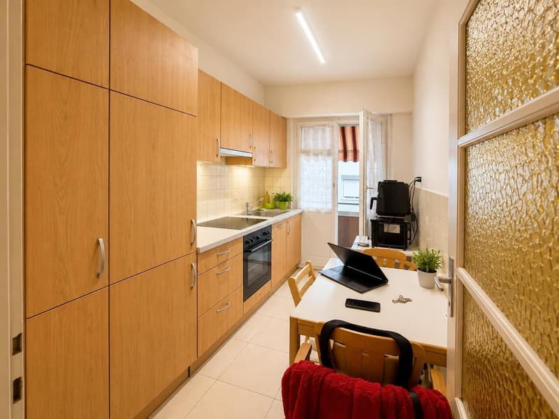 Appartement de 1.5 pièce avec balcon Idéal pour investisseur (2)