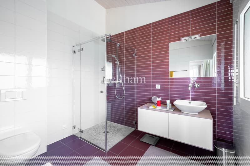 Magnifique villa individuelle de 6.5 pièces (8)