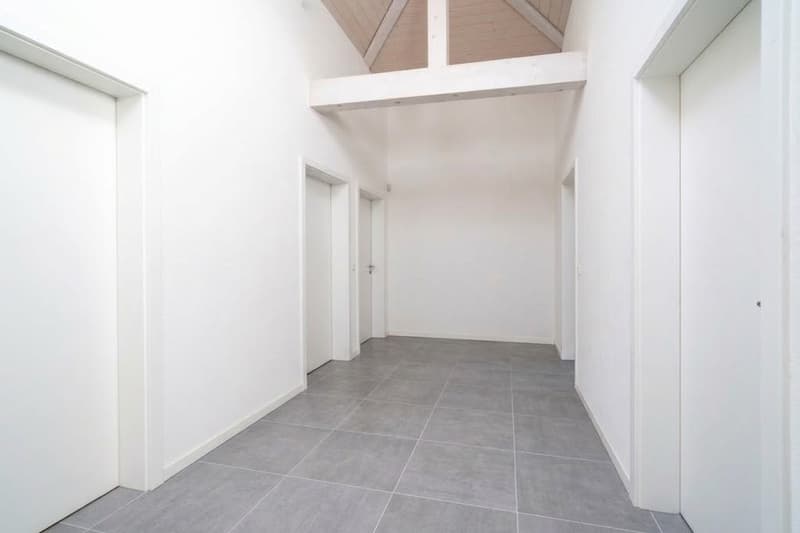 Magnifique villa individuelle de 6.5 pièces (5)