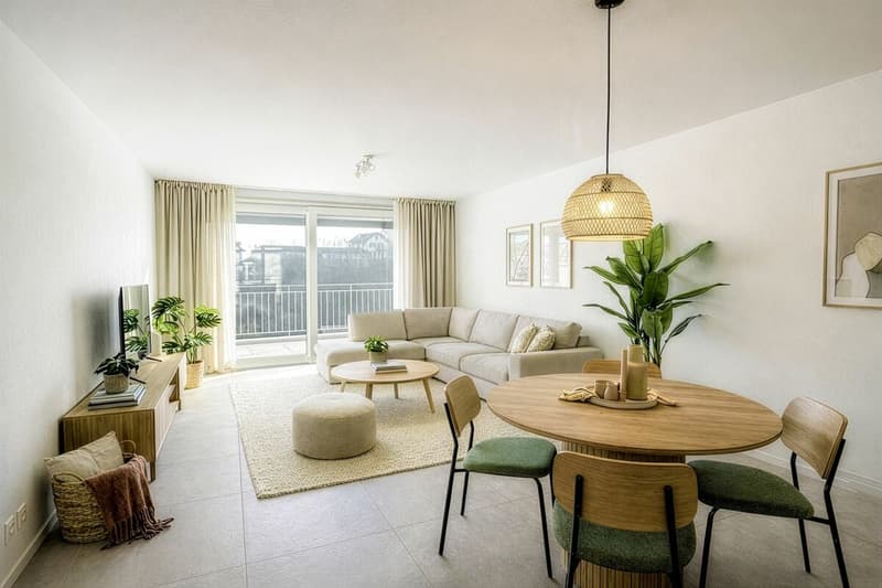 Ampio appartamento di 4,5 locali con soggiorno di 52 m2 più terrazza (1)