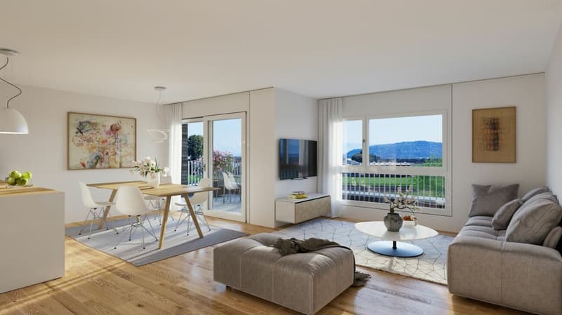 Bright attic with view of the Alps - 15 minutes from Neuchâtel (4)