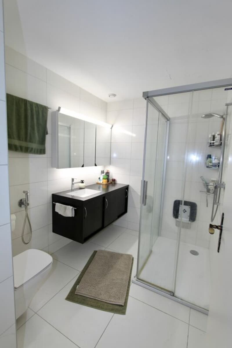 Space and light, just two steps from the lake and all amenities (8)
