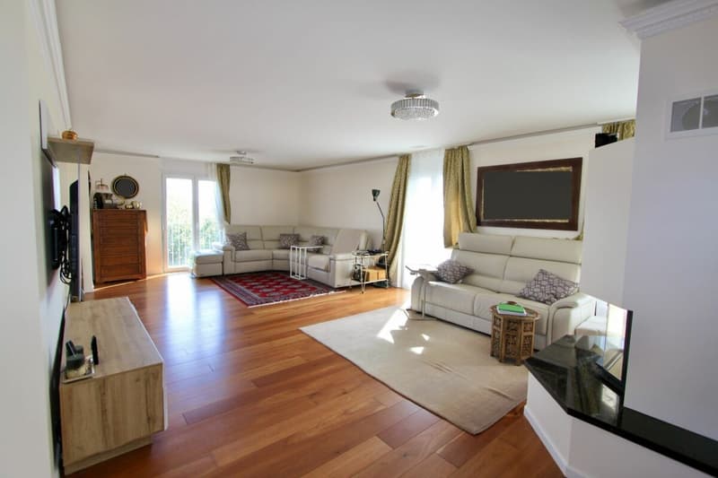 Space and light, just two steps from the lake and all amenities (3)