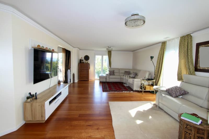 Space and light, just two steps from the lake and all amenities (5)