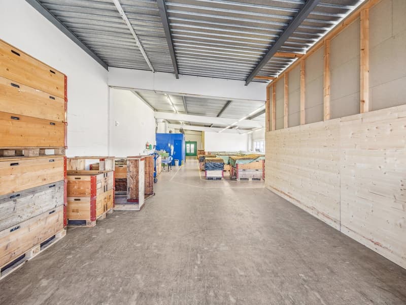 Spacious Warehouse for Rent in Knutwil (3)