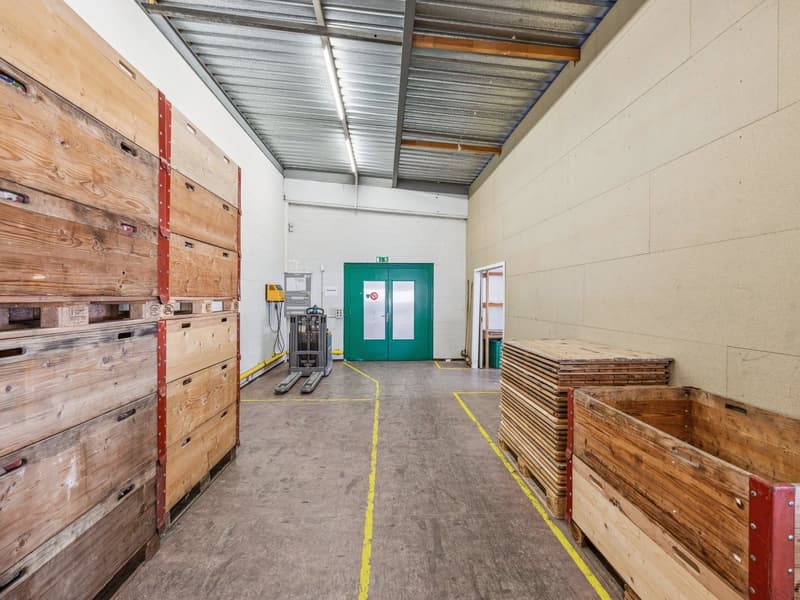 Spacious Warehouse for Rent in Knutwil (5)