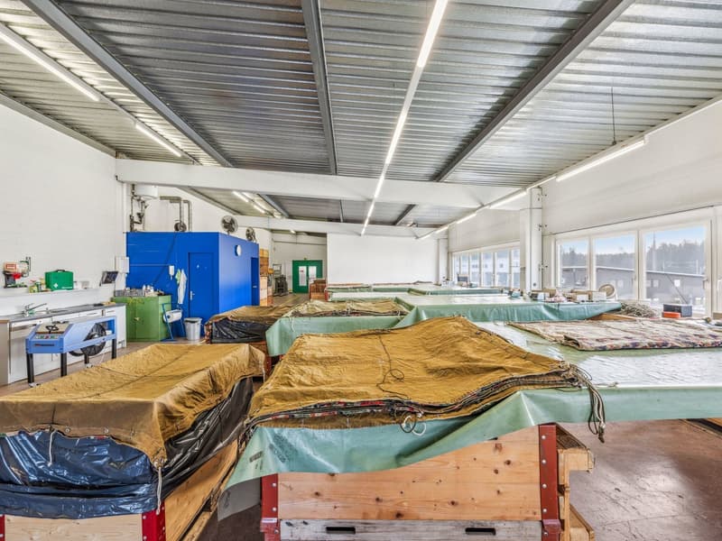 Spacious Warehouse for Rent in Knutwil (4)