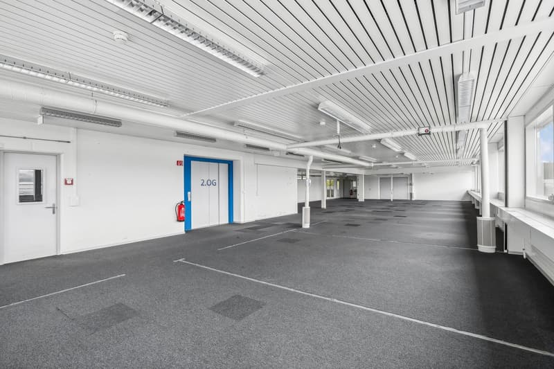 Large open commercial space with white walls, a gray concrete floor, and a ceiling with parallel metal beams and lighting fixtures. There is a blue door labeled '2.0G' and a fire extinguisher visible.