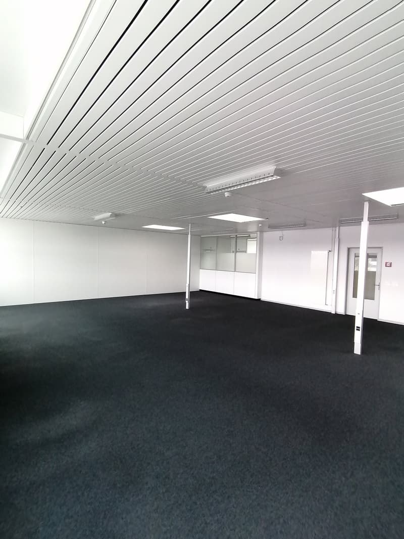 Large open office space with white walls, a suspended ceiling with parallel slats, and a dark carpeted floor. The room appears to be empty and ready for use.
