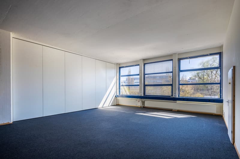Empty room with white walls, blue carpet, large windows with blue frames