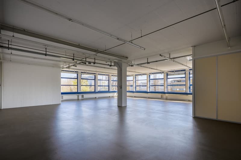 spacious room, white walls, concrete floor, large windows, exposed ceiling beams