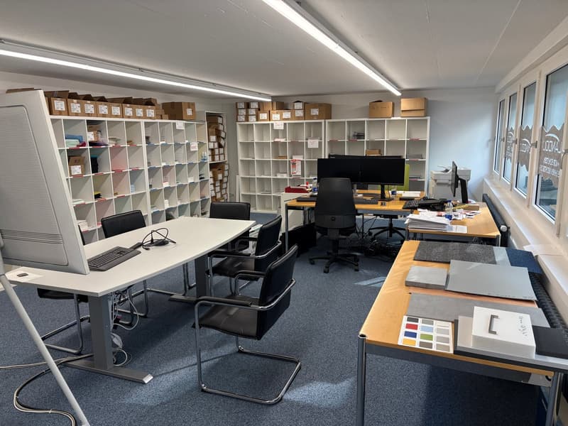 Office space with desks, chairs, shelves, computer monitors, keyboards, windows, ceiling lights.