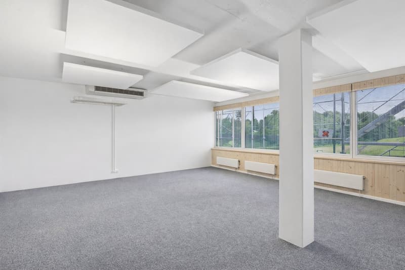 Ihre neue Geschäftsadresse zwischen Zürich, Zug und Luzern - frisch saniert - flexible Nutzung (5)