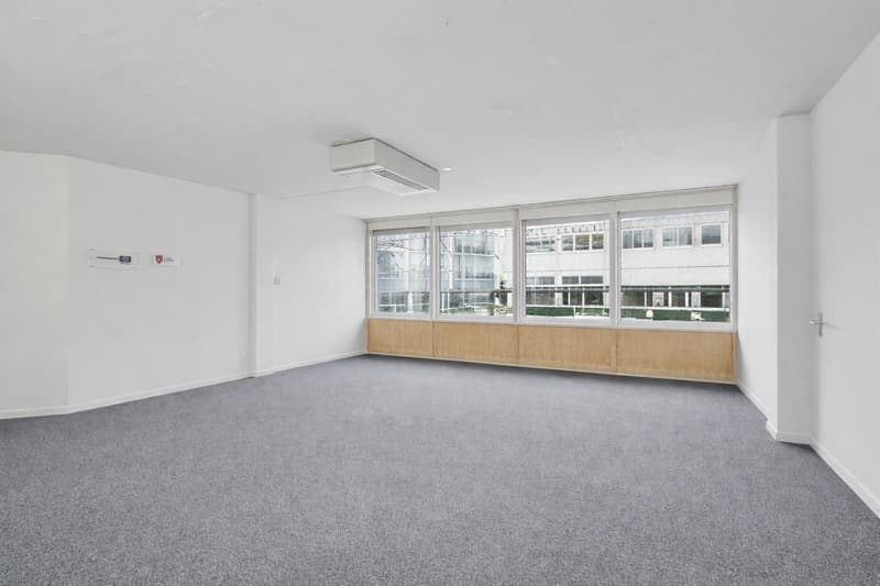 Atelier, small office or office community – modern spaces in Obfelden (4)