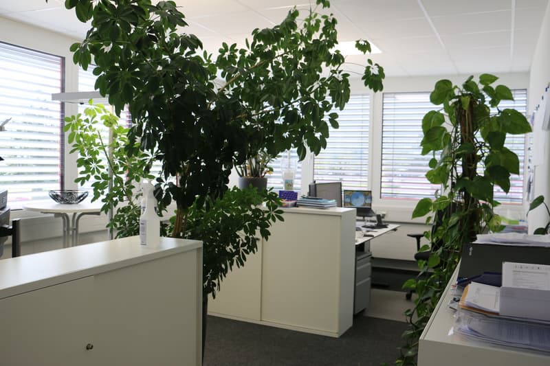 Versatile industrial and commercial spaces in Arbon with excellent infrastructure – up to 33,000 m² (9)